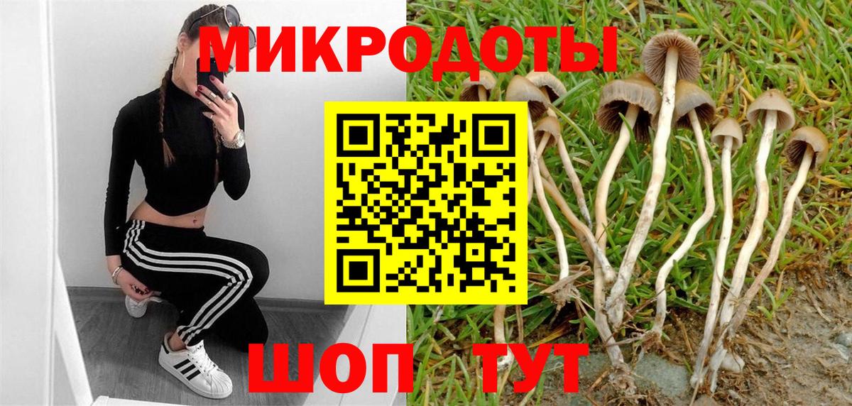 Псилоцибиновые грибы прущие грибы Долгопрудный