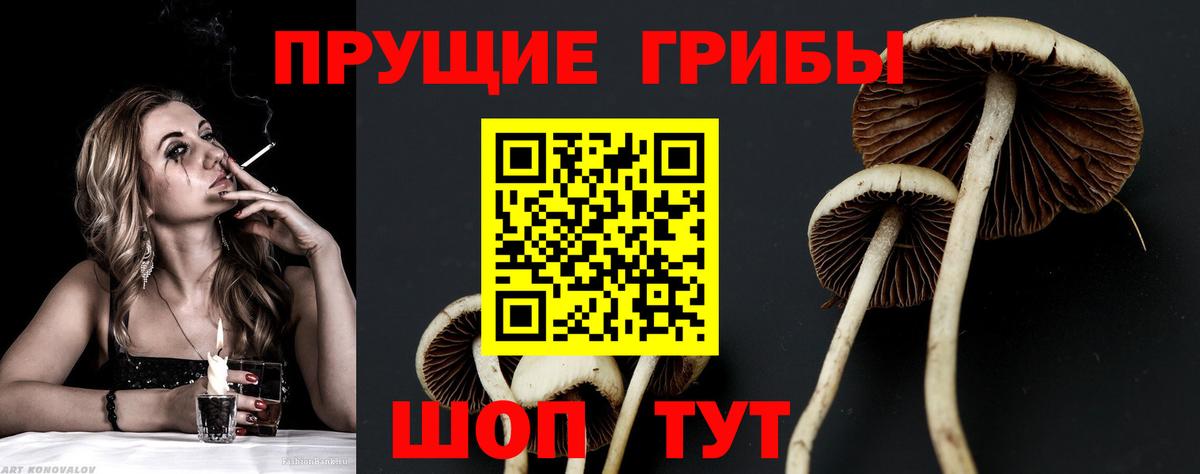 Долгопрудный  что такое   Галлюциногенные грибы прущие грибы  Вход с VPN  Галлюциногенные грибы GOLDEN TEACHER 